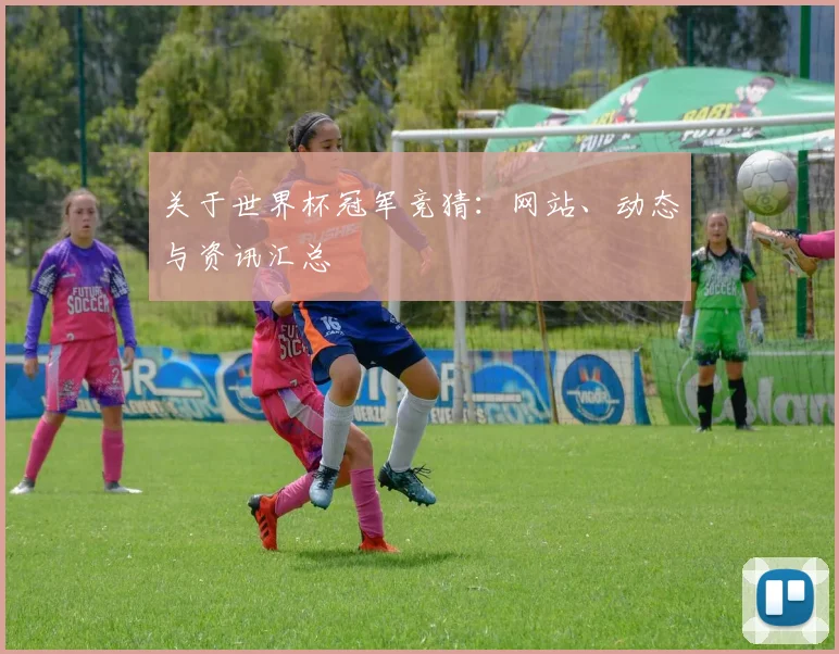 关于世界杯冠军竞猜：网站、动态与资讯汇总