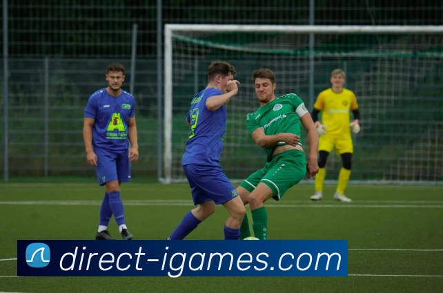 爱游戏平台生态图